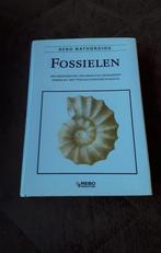 Rebo Natuurgids - Fossielen - Rudolf Prokop - 224 blz -NIEUW, Livres, Science, Rudolf Prokop, Envoi, Sciences naturelles, Neuf
