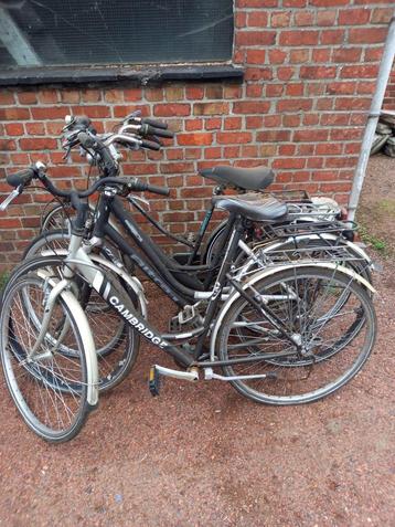 Lot van 4 fietsen beschikbaar voor biedingen