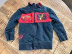 Trui cars, Kinderen en Baby's, Kinderkleding | Maat 122, Ophalen of Verzenden, Zo goed als nieuw