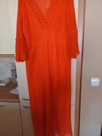 Nieuwe modieuse en elegante jurk n, Ophalen of Verzenden, Nieuw, Maat 42/44 (L), Rood
