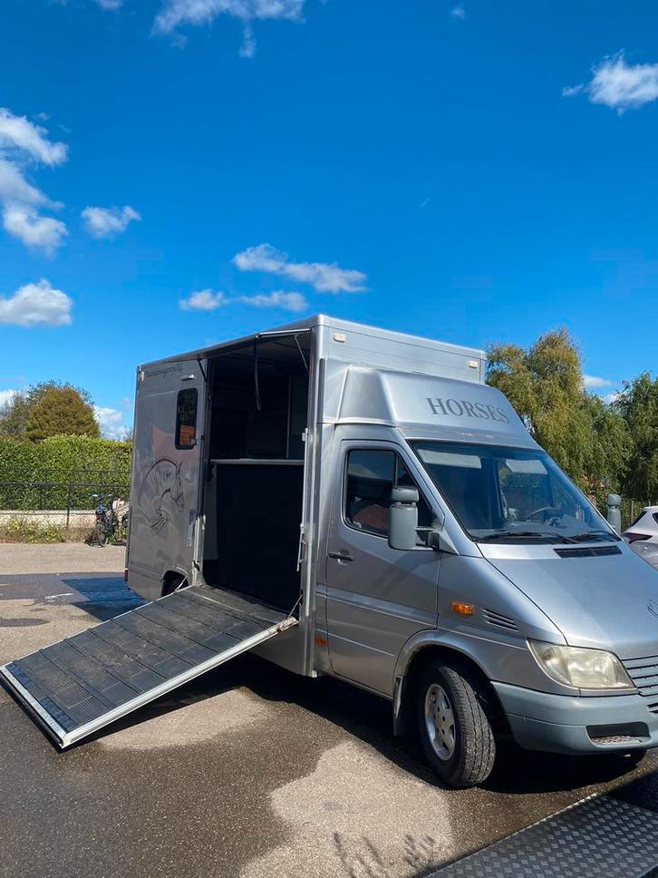 Paardenwagen mercedez sprinter/ 2-paards/ B-rijbewijs, Dieren en Toebehoren, Paarden en Pony's | Trailers en Aanhangwagens, Gebruikt