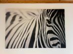 Kader zebra IKEA, Ophalen