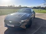 ford mustang ecoboost, Autos, Cuir, Argent ou Gris, Achat, Noir