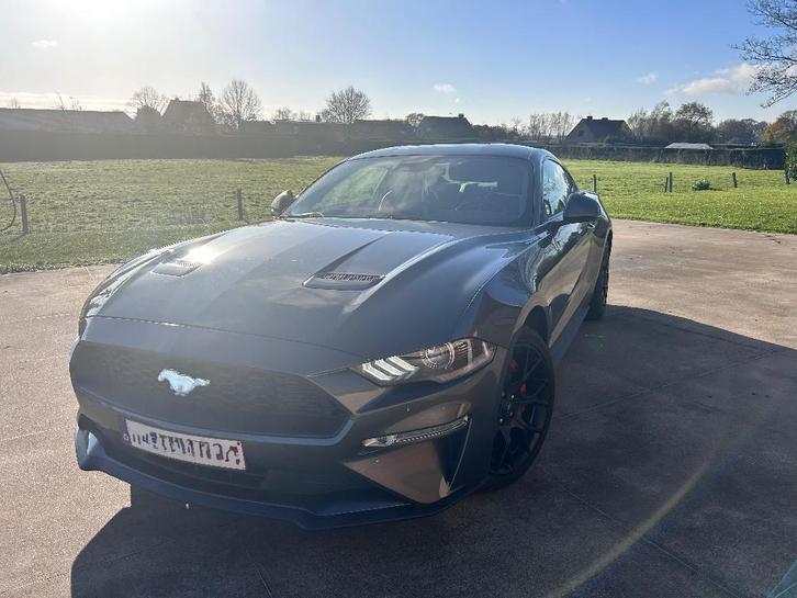 ford mustang ecoboost, Autos, Ford, Particulier, Mustang, Caméra 360°, ABS, Caméra de recul, Phares directionnels, Régulateur de distance