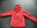 Mooie skijas dames maat 44, Kleding | Dames, Wintersportkleding, Maat 38/40 (M), Ophalen of Verzenden, Zo goed als nieuw, Jack