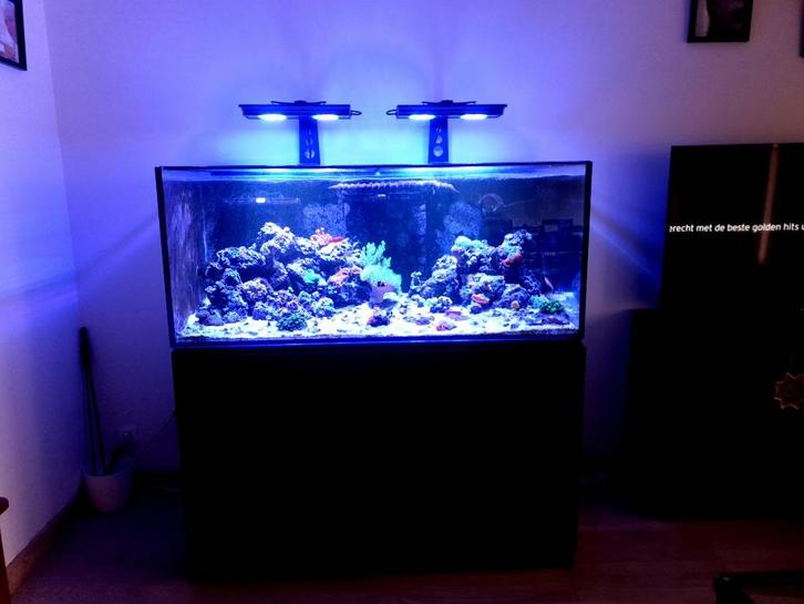 Zee-Aquarium, Dieren en Toebehoren, Vissen | Aquaria en Toebehoren, Gebruikt, Gevuld zeewateraquarium, Ophalen