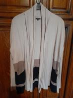 Cardigan met bijhorend truitje Caroline Biss 42/44, Kleding | Dames, Truien en Vesten, Ophalen of Verzenden, Zo goed als nieuw