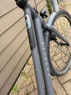 Gazelle, Enlèvement ou Envoi