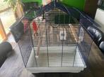 CAGE À OISEAUX, Animaux & Accessoires, Enlèvement, Utilisé, Métal, Cage à oiseaux