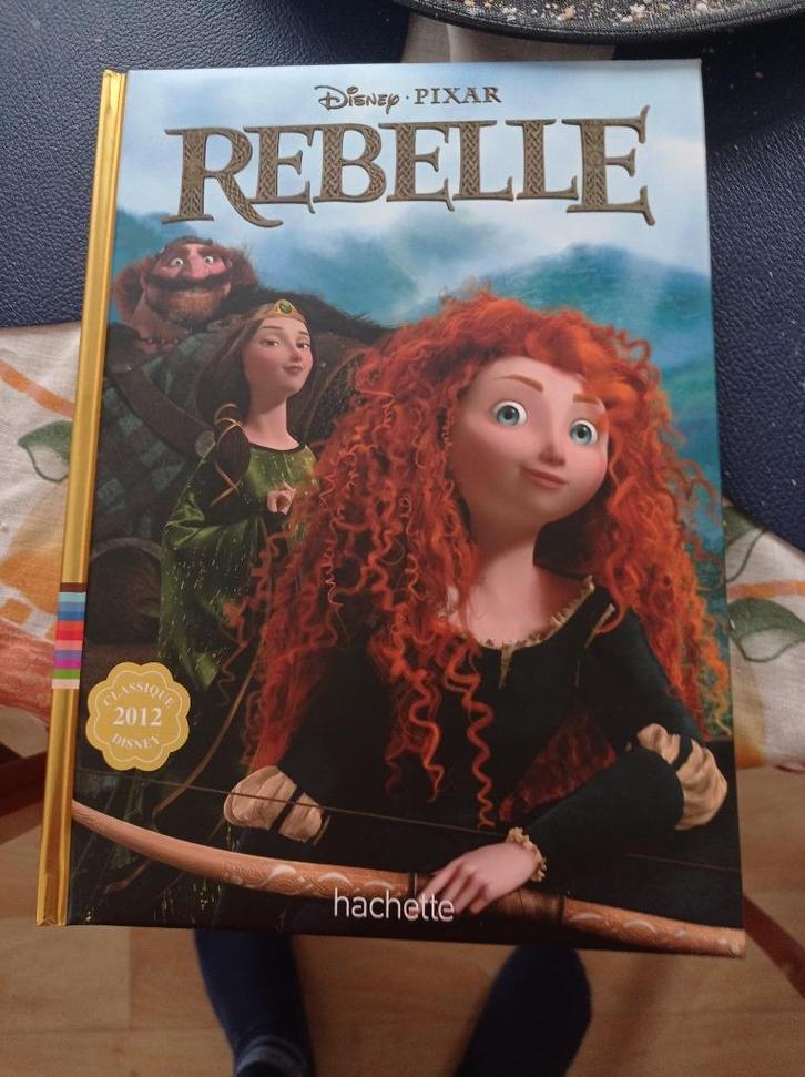 Livres de Disney, Boeken, Stripverhalen, Nieuw, Meerdere stripboeken, Ophalen of Verzenden
