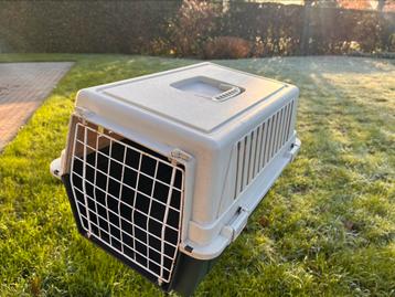 transportbox voor poes of konijn beschikbaar voor biedingen