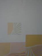 geometrisch abstracte zeefdruk Marie-Roze Lannoy, Antiek en Kunst, Ophalen of Verzenden