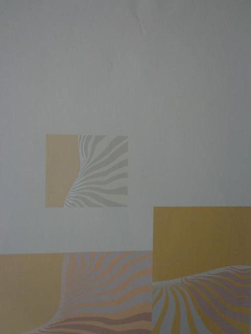 geometrisch abstracte zeefdruk Marie-Roze Lannoy, Antiek en Kunst, Kunst | Litho's en Zeefdrukken, Ophalen of Verzenden