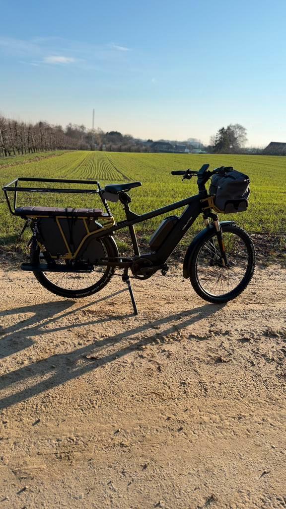 Multichargeur Riese Müller Speed Pedelec, Vélos & Vélomoteurs, Vélos électriques, Utilisé, Enlèvement