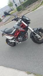 Tente Benelli 125, Particulier