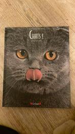 Livre tout savoir sur les chats de Fabio Petroni, Livres, Livres pour enfants | Jeunesse | 13 ans et plus, Comme neuf