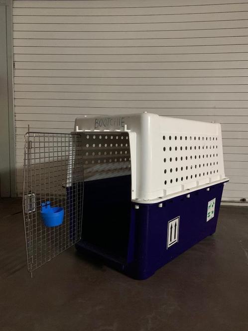 Hondenkennel PP60, Dieren en Toebehoren, Overige Dieren-accessoires, Gebruikt, Ophalen