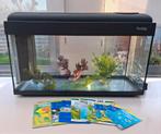 Aquarium 80x30x50cm + filter + lamp + plantjes + boekjes, Enlèvement, Utilisé, Aquarium vide