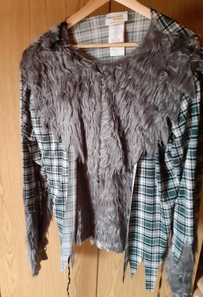 Halloween kostuums, Hobby en Vrije tijd, Kostuums, Theaterbenodigdheden en LARP, Gebruikt, Ophalen