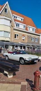 JAGUAR XJS V 12 CONVERTIBLE, Automaat, Beige, Cabriolet, Beige