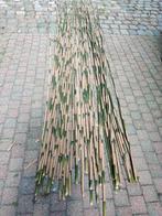 bamboe stokken 10€., Tuin en Terras, Palen, Balken en Planken, Ophalen