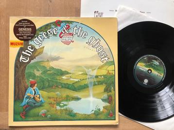ANTHONY PHILIPS ( GENESIS ) - The geese & the ghost (LP)