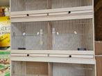 nieuwe houten kweekkooien, Dieren en Toebehoren, Ophalen of Verzenden, Nieuw, Hout