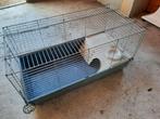 cage pour lapin, hamster, chinchila, Lapin, Enlèvement, Cage