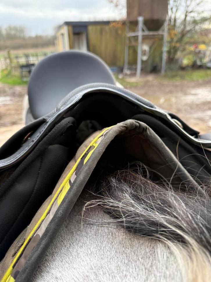 Zwart Dressuur zadel Norton 17inch, Animaux & Accessoires, Chevaux & Poneys | Selles, Enlèvement