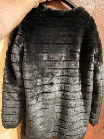 Veste noire beschikbaar voor biedingen