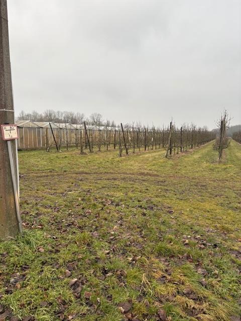 landbouwgrond, Immo, Terrains & Terrains à bâtir, 1500 m² ou plus