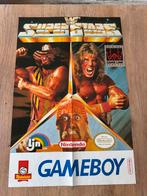 WF Super Stars Gameboy Rare grote poster, Games en Spelcomputers, Ophalen of Verzenden, Zo goed als nieuw