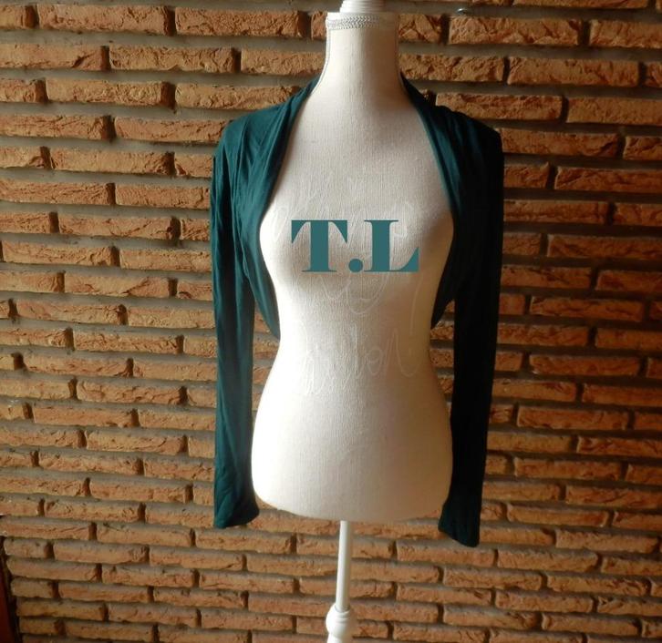 (81) - boléro femme t.40 vert, Kleding | Dames, Truien en Vesten, Zo goed als nieuw, Maat 38/40 (M), Groen, Ophalen of Verzenden
