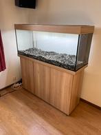 Aquarium Juwel Rio 240 en meubel, Dieren en Toebehoren, Ophalen, Gebruikt, Leeg aquarium