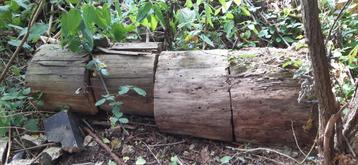 hout brandhout snoeihout stronken latten en balken  beschikbaar voor biedingen