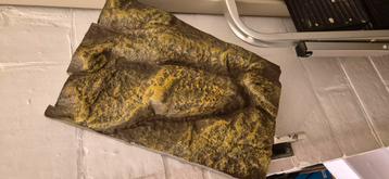 Fond exo terra beschikbaar voor biedingen