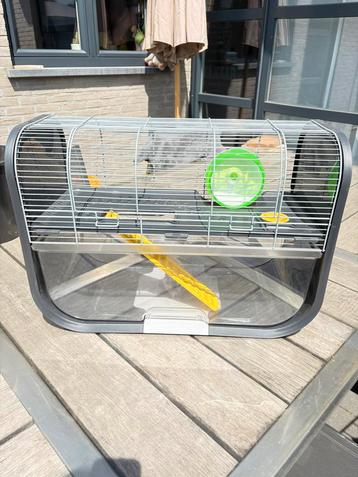 Hamsterkot met extra spulletjes, Enlèvement