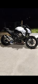 Z800 A2, 800 cm³, Particulier, Permis Moto A2 minimum, Éclairage LED