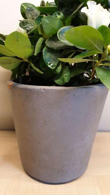 Bloempot, steen, grijs, hoogte 12cm, binnen diameter 10,5cm beschikbaar voor biedingen