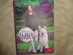 Jan Ruysbergh  Het verhaal van Amber, Boeken, Kinderboeken | Jeugd | 13 jaar en ouder, Ophalen of Verzenden, Zo goed als nieuw