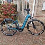 Prachtige Cube Kathmandu Pro 750Wh, Ophalen, Zo goed als nieuw, Cube