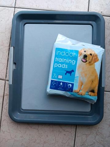 Indoor puppy  trainer beschikbaar voor biedingen