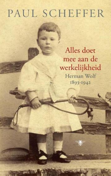Te Koop Boek ALLES DOET MEE AAN DE WERKELIJKHEID P.Scheffer beschikbaar voor biedingen
