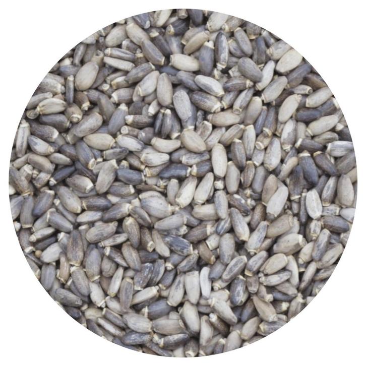 Mariadistelzaad 1kg, Dieren en Toebehoren, Vogels | Toebehoren, Nieuw, Eten en Drinken, Ophalen