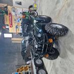 Yamaha grizzly 660, Motoren, Quads en Trikes