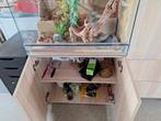 Terrarium met kast, Ophalen, Verlichting