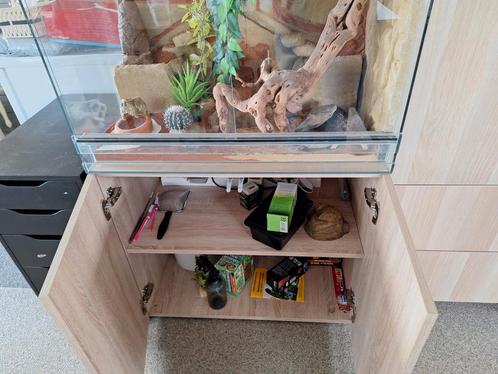 Terrarium met kast, Dieren en Toebehoren, Reptielen en Amfibieën | Toebehoren, Verlichting, Ophalen