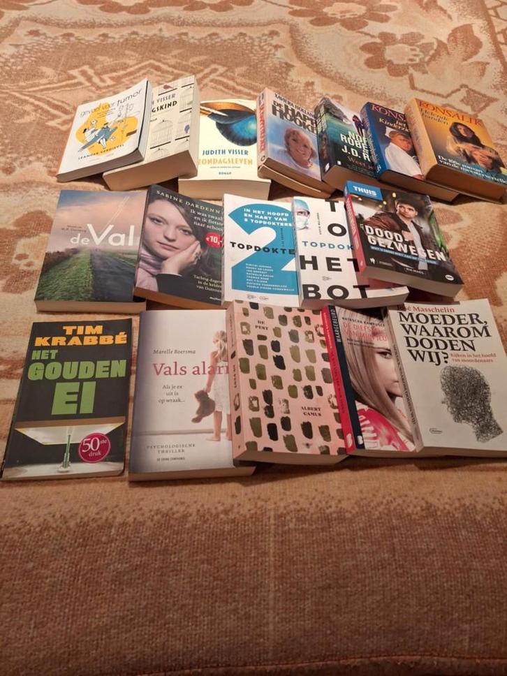 Partij van 16 diverse boeken voor slechts 20€, Cd's en Dvd's, Cd's | Verzamelalbums, Ophalen of Verzenden