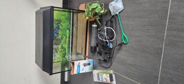 Aquarium met licht en toebehoren beschikbaar voor biedingen