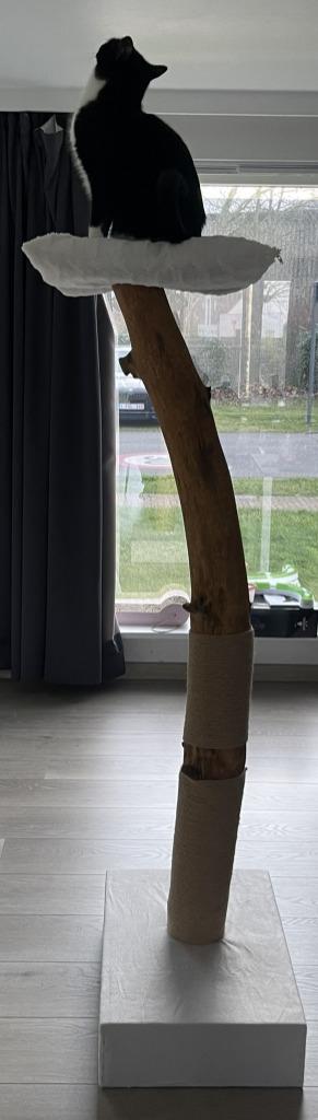 Krabpaal beschikbaar voor biedingen